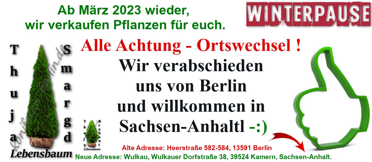 Ab März 2023 willkommen in Sachsen Anhalt in Wulkau