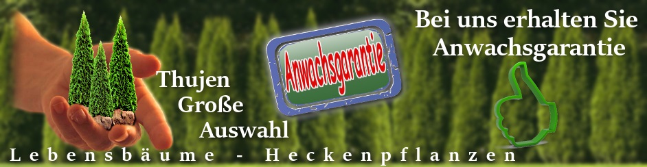 Bei uns erhalten Sie Anwachsgarantie Heckenpflanzen Mencel 