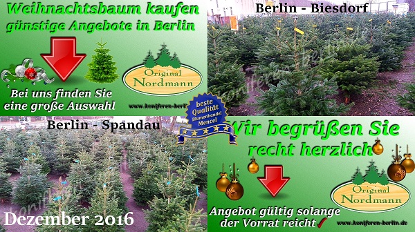 December 2016 Weihnachtsbäume