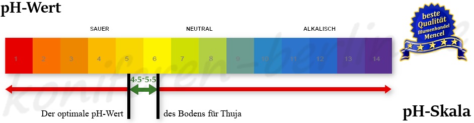 Der optimale pH Wert des Bodens für Thuja 
