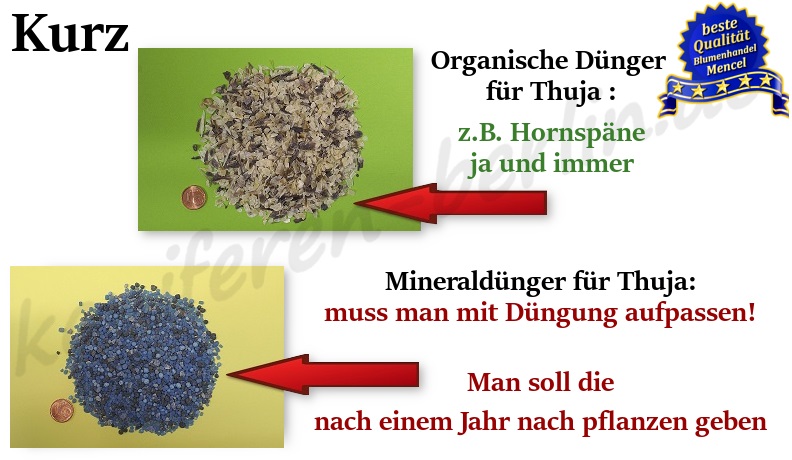 Kurz Mineraldünger und Organische Dünger für Thuja Koniferen