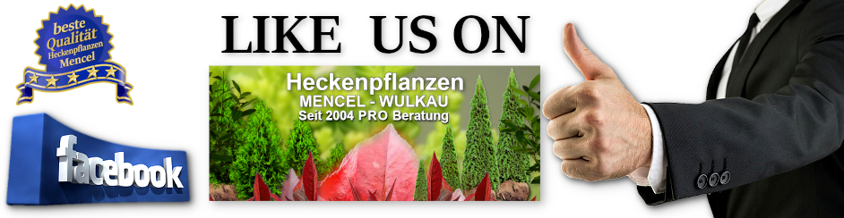 LIKE US ON Facebooku Heckepflanzen Mencel Wulkau 