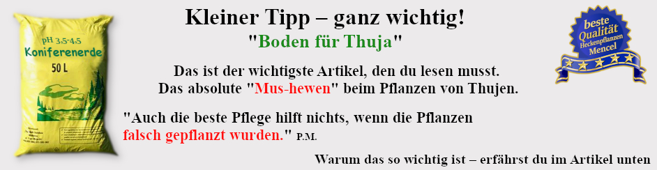 Must-hewen für Thuja - Heckenpflanzen Mencel 