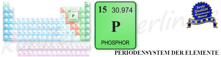 Phosphor Periodensystem der elemente