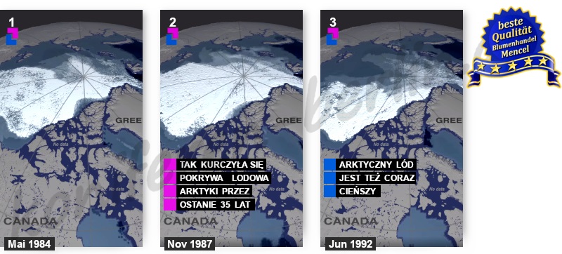 Pokrywa lodowa Arktyki 1984 2019 1