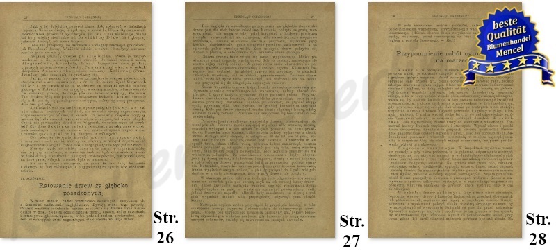 ST. SCHÖNFELD Przegląd Ogrodniczy Nr 4 str. 26 27 28 z 25 lutego 1923 r. 