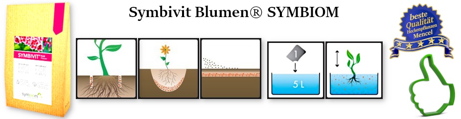 SymbivitBlumen Anwendung und Dosierung 