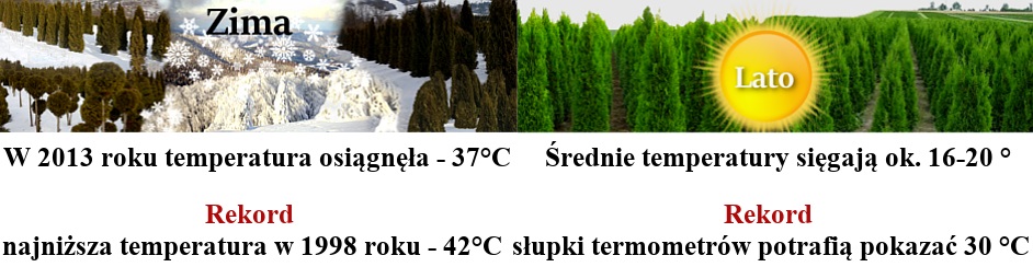 Temperatury w Polsce zimą i latem 