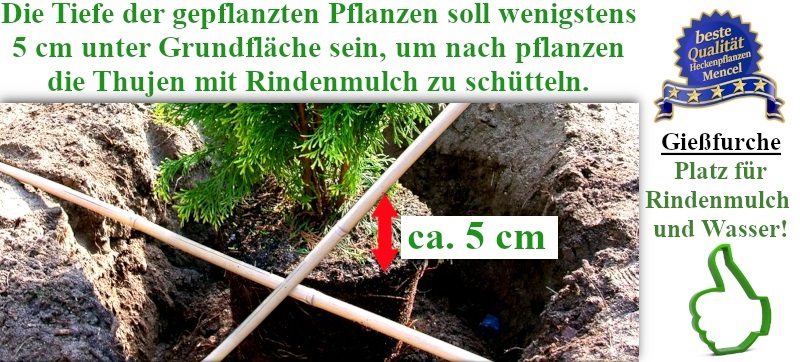 weihnachtsstern mit beleuchtung zum aufhängen Hängender dekorativer Weihnachtsstern Wunderschöner Weihnachtsstern für die  Fenster in warmweißDieser dekorative Weihnachtsstern ergänzt Ihre  Dekoration für einen gemütlichen Winterzauber. Das warmweiße Licht schafft  eine angenehme Atmosphäre. Mit main image 1